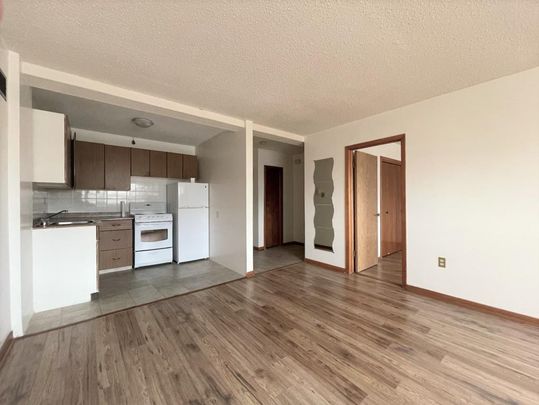 One bedroom apartment near downtown - Photo 1