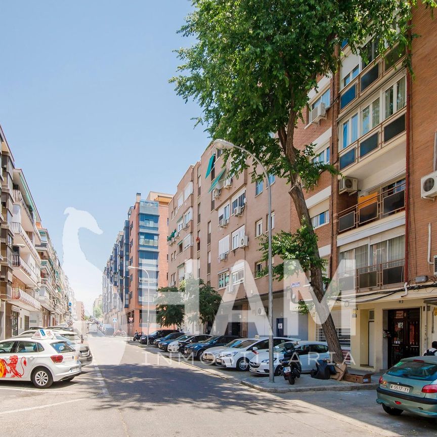 Habitación - Madrid - Ibiza - 600€ MES - Ref. FGO-HDIB - Photo 1
