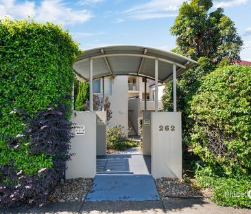 262, Cavendish Road, QLD, Coorparoo - Photo 3