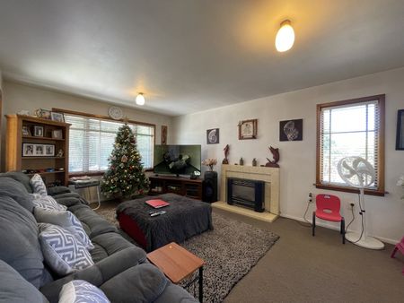 13 Haig Place, Opawa - Photo 5