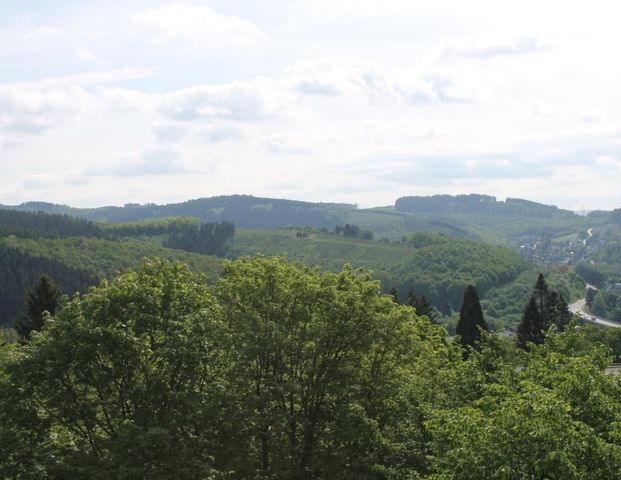 Demnächst frei! 2-Zimmer-Wohnung in Siegen Dillnhütten - Photo 1