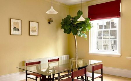 Harley Street, Marylebone - Photo 3