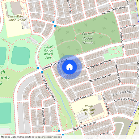 14 Sunnyside Hill Road Unit# Bsmt, Markham