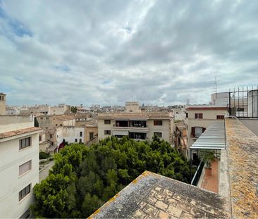 Ático en alquiler a largo plazo, Avenida Jaime III, centro de Palma... - Photo 4