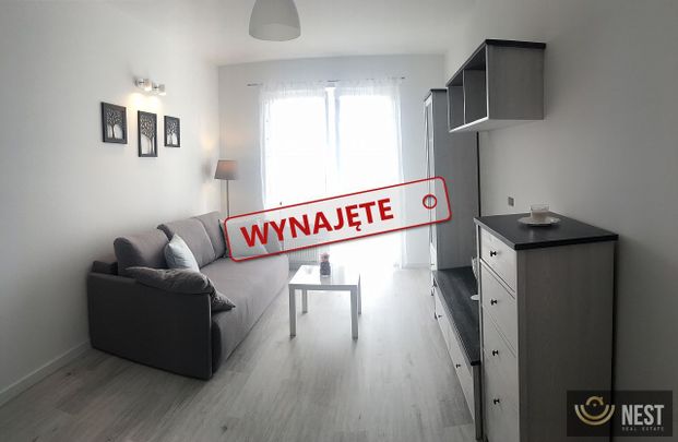 Do wynajęcia kawalerka na ulicy Potulickiej - Zdjęcie 1