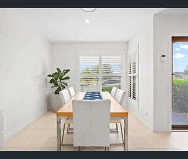 Light-Filled Contemporary Rental with Park Views! - Photo 4