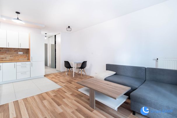 Nowoczesne studio *Kordiana* Kurdwanów – ogród ! - Фото 1