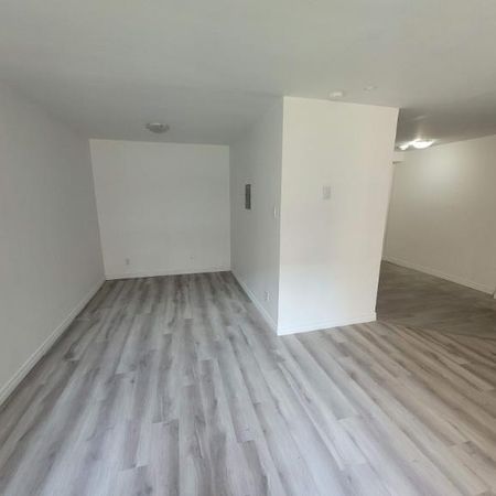 1 CH - 1 SDB - Montréal - $1,000 /mo - Photo 4