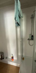 CHAMBRE-SUITE EN COLOCATION MEUBLEE ORLEANS - Photo 4