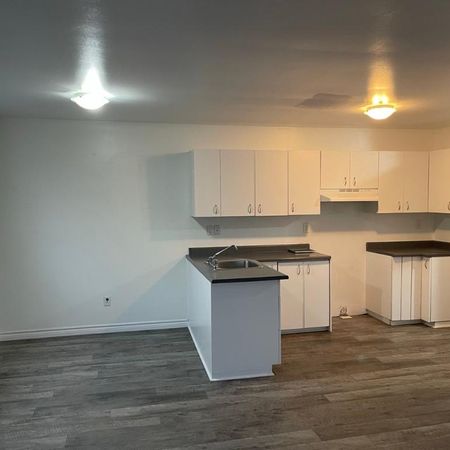 Beau 4 1/2 libre maintenant à Ste-Catherine (rive-sud de Mtl) - Photo 4