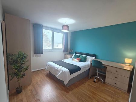2 bedroom house share to rent - Photo 5
