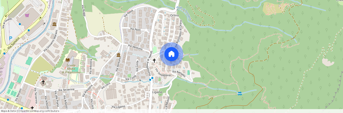 6963, Pregassona, Via Ronchetto Di Orlino, 14