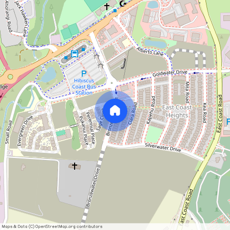 21 Bronzewater Drive, Silverdale, Rodney