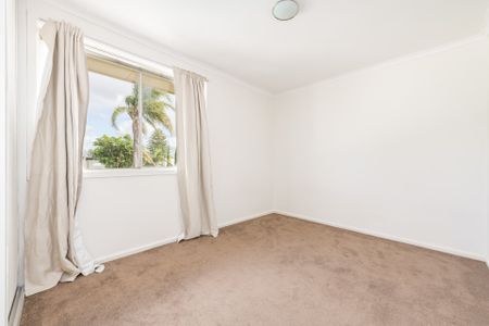 Private & Secure Light Filled Apartment - Photo 5