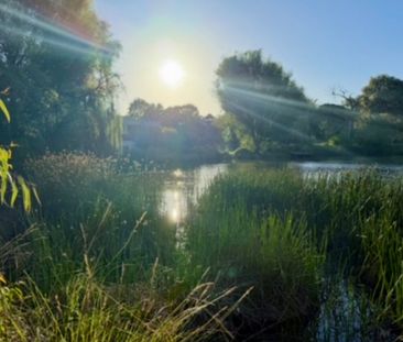 Brighton East - Photo 6