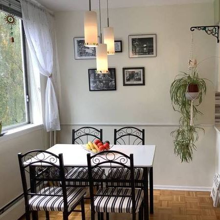 Furnished, 1 bedroom,West End, Large & Bright, Oct15 , pool,nr bch,bus - Photo 3