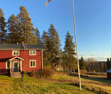 Gran, Kåge - Photo 2