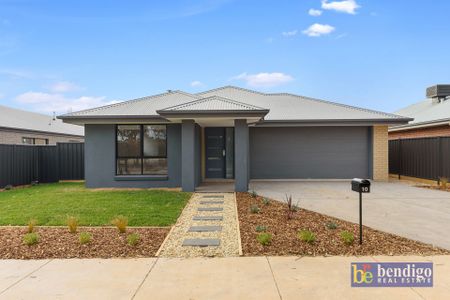 Contemporary Family Living in Huntly - Photo 2