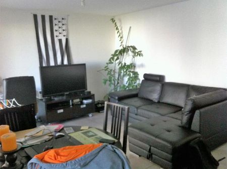 APPARTEMENT T2 45M - Photo 2