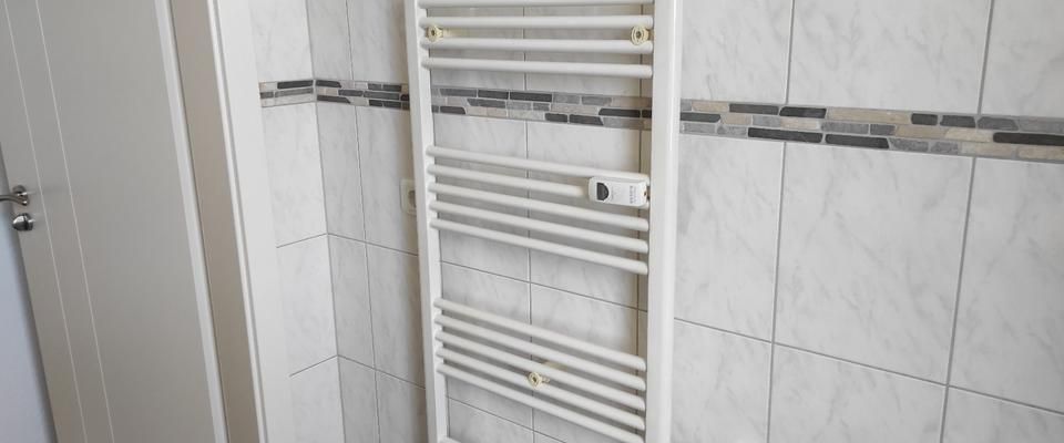 Mietwohnung 2-Raum 47m² Mieterterrasse mit Grill in 08064 Zwickau - Foto 1