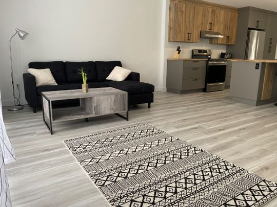 Appartement 5 1/2 à louer à Trois-Rivières (Andante) - Photo 1