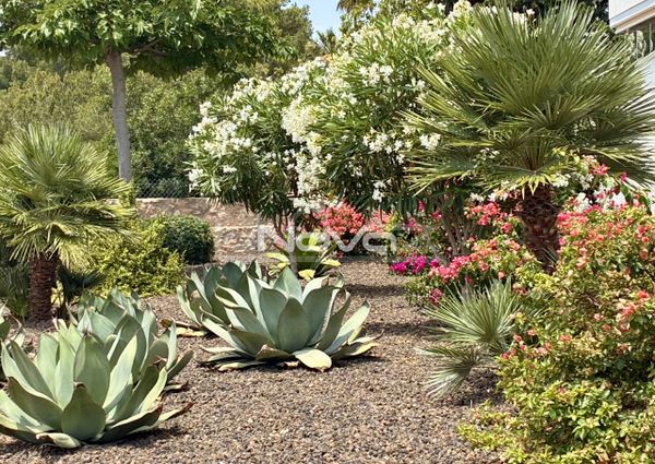 Comfortable 3 bedroom penthouse in Green Hills urbanizat