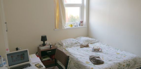 1 Bedroom Studio - Photo 2