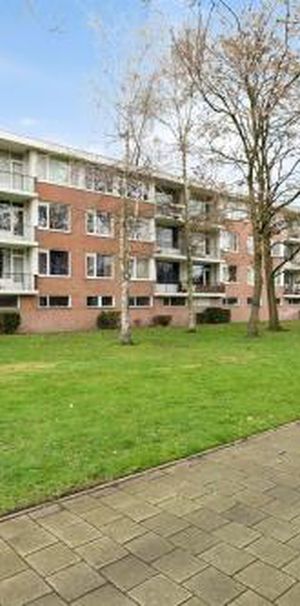 Pisanostraat 5623 Eindhoven - Photo 1