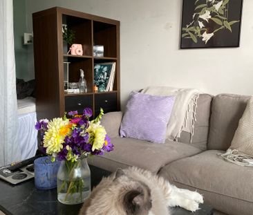 Lundmansgatan, Norrtälje - Photo 1