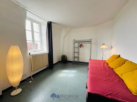 Location Appartement 1 pièce 20m² - Photo 2