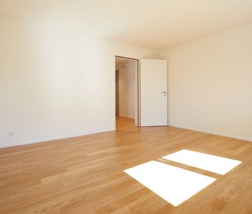 2.5 Zimmer, 60 m², EG - Foto 3