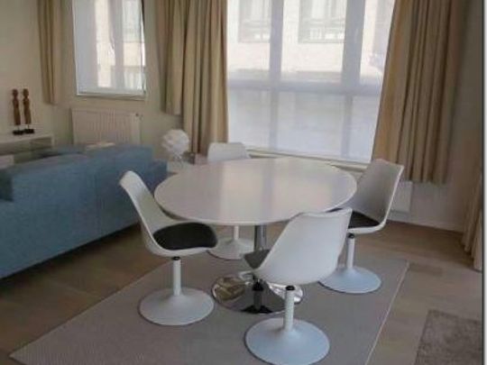 IXELLES : APPARTEMENT MEUBLE 2 CHAMBRES + TERRASSE - Ixelles - Foto 1