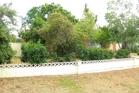 27 Haines Street, Curtin ACT 2605 - House For Rent | Domain - Photo 5