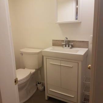 Newly Renovated, Luxurious Basement Suite – Utilities Included - Photo 4