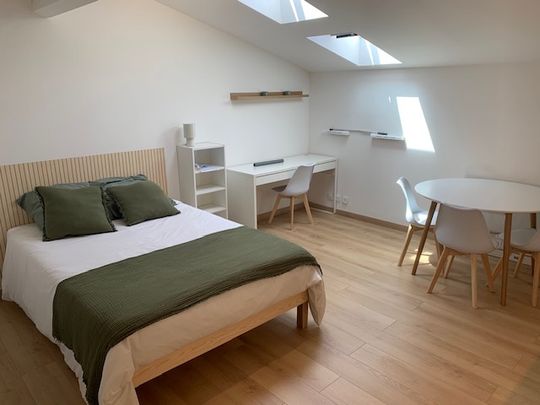 Location Appartement 1 pièce 28m² TOULOUSE 31400 - Photo 1