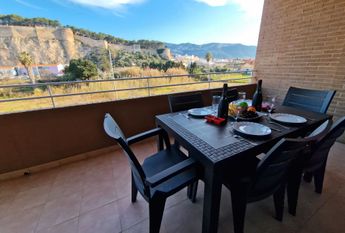 Apartamento de alquiler en Avenida Miguel Hernández, 10, Centro Urbano