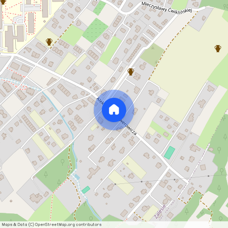 ul. Aleksandra Zelwerowicza, Zalesie, Rzeszów, podkarpackie