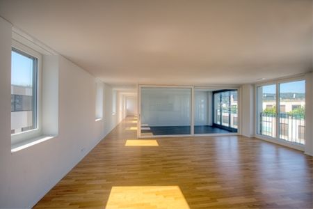 Grand appartement familial en face du lac - Photo 2