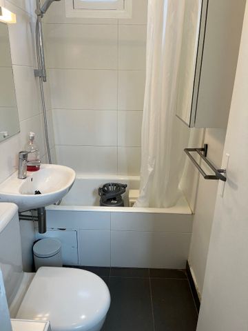 Location Appartement 1 pièce 16m² - Photo 4