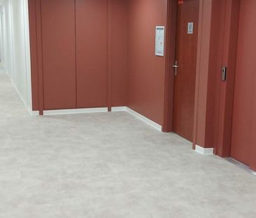 A LOUER – Appartement T3 à LILLEBONNE - Photo 4