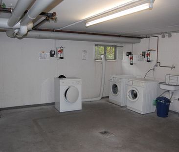 Großzügiges Dachappartement in Bonn-Beuel - Foto 3