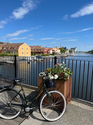 Ögontröstvägen, Åhus - Photo 1