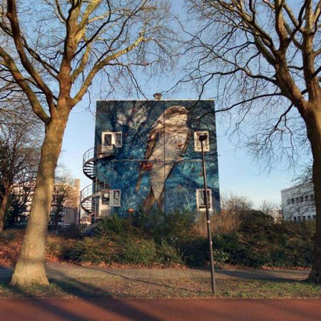 Maisonnette Westfriese Hof, Hoorn - À louer - Foto 3