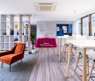 Standard Studio - Photo 4