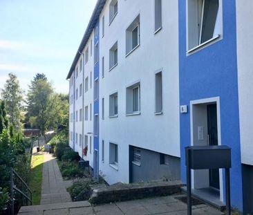 Frisch renovierte 3-Zi.-Whg. mit neuem Tageslichtbad und Balkon - Photo 1