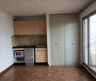 Location Appartement 1 pièce 22m² - Photo 4