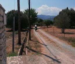 Μεζονέτα για ενοικίαση - Αίγιο, - Photo 6