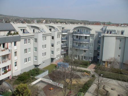 1-Zimmer-Wohnung, Top 6 - Photo 4