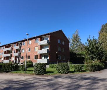Torggatan, Traryd - Photo 2