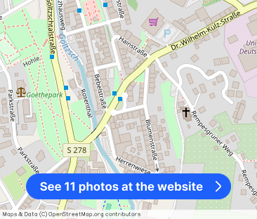 Hochwertige Erdgeschoss-1-Raum-Wohnung im Herzen von Auerbach - Photo 1